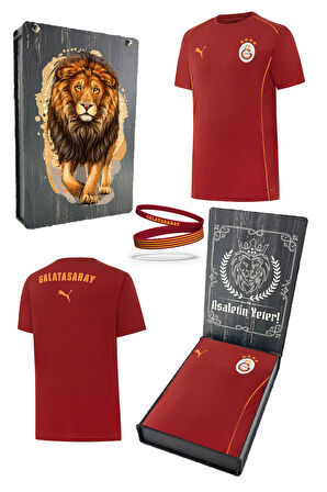 Galatasaray Orijinal Lisanslı 2024/25 Kırmızı Antrenman T-Shirt + Bileklik Set 