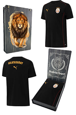 Galatasaray Orijinal Lisanslı 2024/25 Sıfır Yaka Siyah Antrenman T-Shirt Gs Aslan Baskılı Ahşap Kutu