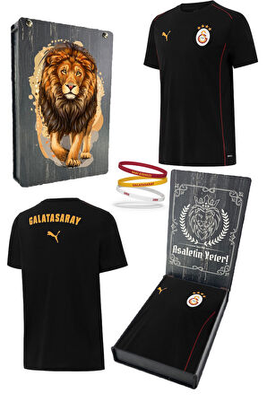 Galatasaray Orijinal Lisanslı 2024/25 Sıfır Yaka Siyah Antrenman T-Shirt + Bileklik Set 
