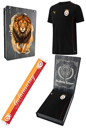 Galatasaray Orijinal Lisanslı 2024/25 Sıfır Yaka Siyah Antrenman T-Shirt + Şal Kaşkol Set