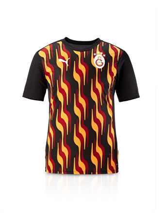 Galatasaray Orijinal Lisanslı Sıfır Yaka Siyah Antrenman T-Shirt Gs Aslan Baskılı Ahşap Kutu