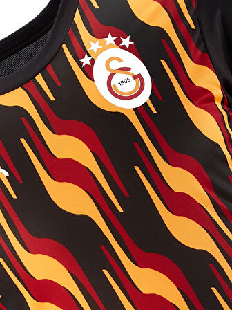 Galatasaray Orijinal Lisanslı Sıfır Yaka Siyah Antrenman T-Shirt Gs Aslan Baskılı Ahşap Kutu