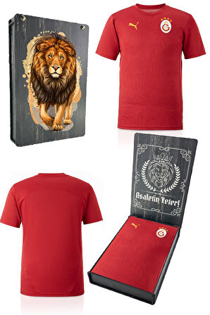Galatasaray Orijinal Lisanslı Sıfır Yaka Kırmızı A Takım Antrenman T-Shirt Gs Aslan Bask