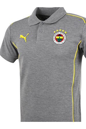 Fenerbahçe Orijinal Lisanslı 2024/25 A Takım Polo Yaka Gri T-Shirt Hediyelik Ahşap Kutulu