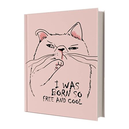Deffter Free and Cool