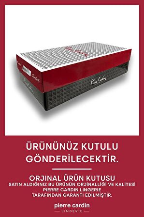 3'lü Paket Paradıse 2700 Pamuklu Basic Desenli Brief Külot