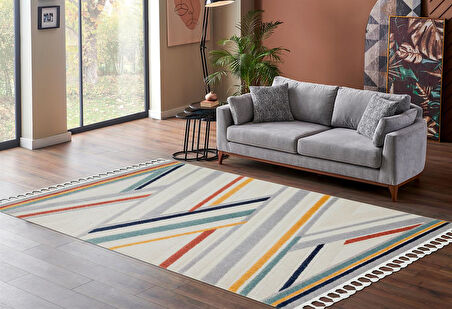 Terazzo Koleksiyonu Hav Toz Vermez Etnik Modern Desenli Yumuşak Halı TRZ05 Renkli