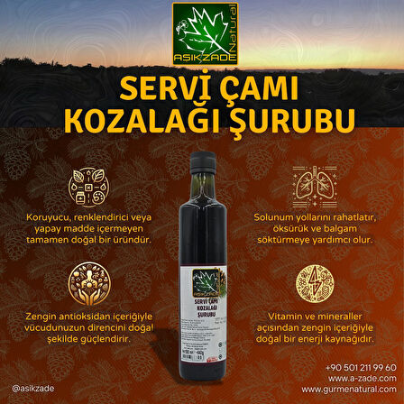 Aşıkzade  Servi Çamı Kozalağı Şurubu 500ml 680 g