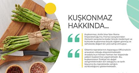 Aspara Gusto Kuşkonmaz Sosu 190 gr