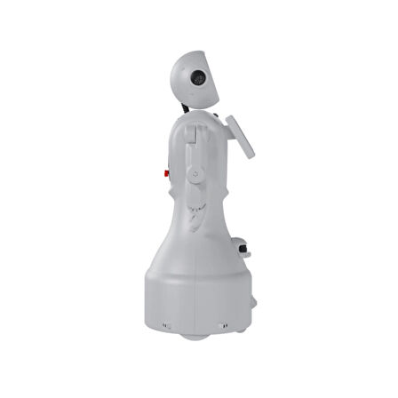 MİNİ ADA İNSANSI ROBOT