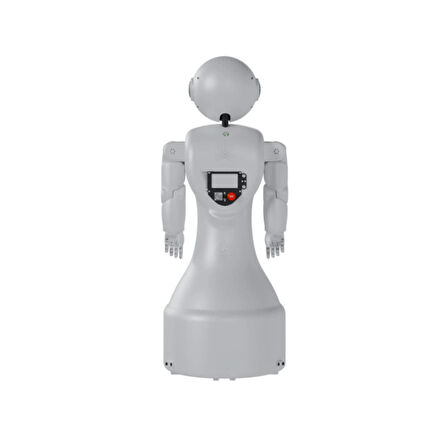 MİNİ ADA İNSANSI ROBOT