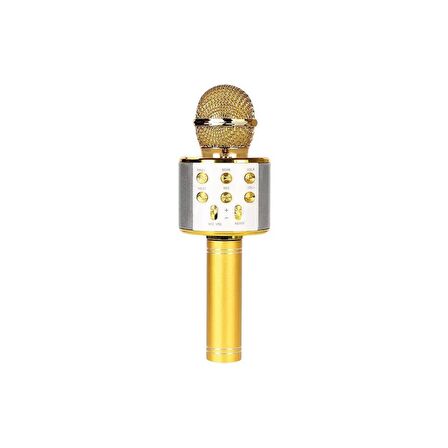 Sunix Bluetooth Kareoke Mikrofon Gold MCF-10