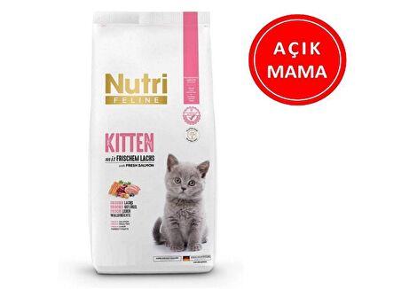 Nutri Feline Kitten Glutensiz Somon Etli Yavru Kedi Maması 1 Kg AÇIK