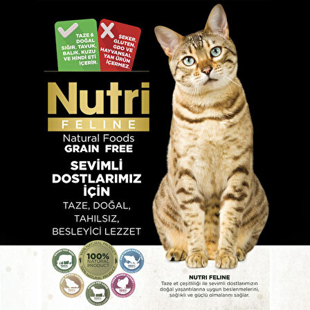 Nutri Feline 10Kg Yetişkin Kısırlaştırılmış Somonlu Adult Sterilised Kedi Maması