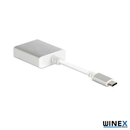 Global Type-C to VGA Hdtv Dönüştürücü Adaptör WNE0052