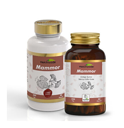 MAMMOR 90 KAPSÜL 500mg - Ginkgo İçeren Takviye Edici Gıda