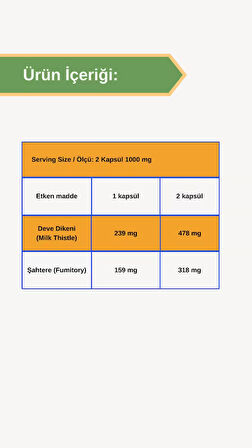Afye Milk Thistle with Fumitory(Deve dikeni, Şahtere) 60 kapsül