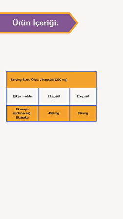 Afye Ekinezya -60 Kapsül