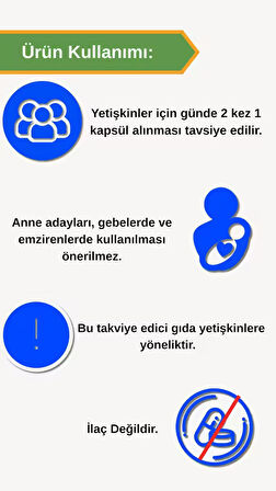  Afye Artichoke  60 Kapsül