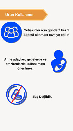 Afye Grape Seed 60 Kapsül 