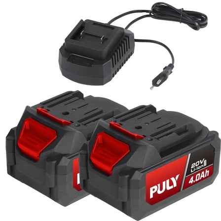 Puly Professional BLM-298 20V 125 mm Kömürsüz Akülü Avuç Taşlama – Dijital Hız Ayarlı, 2X4.0AH Akü, Şarj Cihazı ve Pulybox