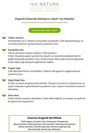 IVA NATURA Organik Gözenek Sıkılaştırıcı Siyah Yüz Maskesi At Kestanesi ve Dağ Çileği Özlü 250ML