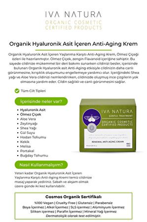 IVA NATURA Organik Hyaluronik Asit İçeren Anti-Aging Yaşlanma Karşıtı Krem Ölmez Otu Çiçeği Özlü