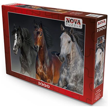 Nova Puzzle Üç Asil Yürek 12+ Yaş Küçük Boy Puzzle 1000 Parça