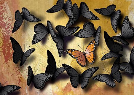 Nova Puzzle Benzersiz Olmak - Kelebekler 12+ Yaş Küçük Boy Puzzle 1000 Parça
