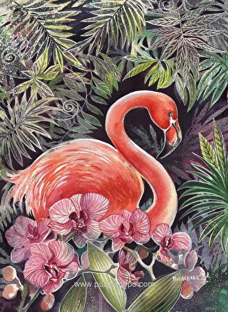 Nova Puzzle Flamingo 41097 12+ Yaş Küçük Boy Puzzle 1000 Parça