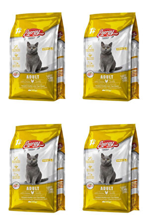 Tavuklu Yetişkin Kedi Maması 500 G - 4 Adet