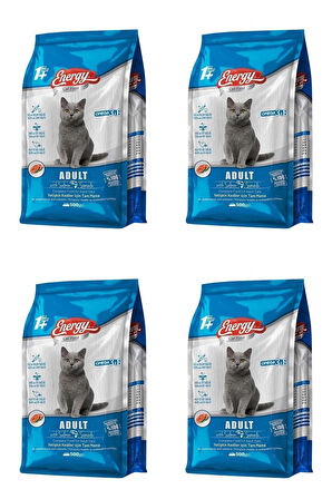 Somonlu Yetişkin Kedi Maması 500 G - 4 Adet