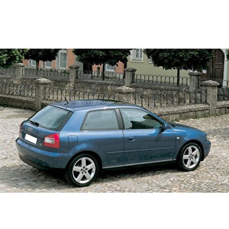 Audi A3 HB 2001-2003 Arka Bagaj Amortisörü Pistonu 8D9827552