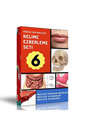 Ingilizce Kelime Ezberleme Modüler Kitap Seti-6