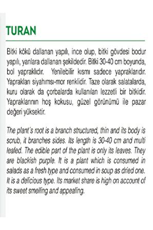 Ata Tohumu Yerli Reyhan Turan 1000 Adet Tohum