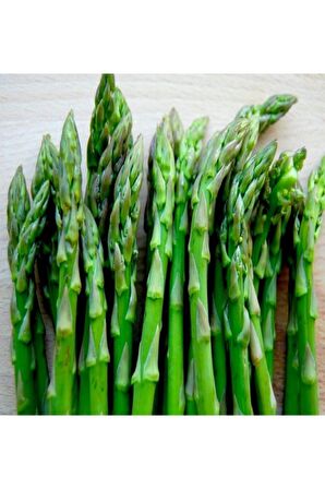 Ata Tohumu Yerli Kuşkonmaz Tohumu (asparagus) 40 Adet Tohum