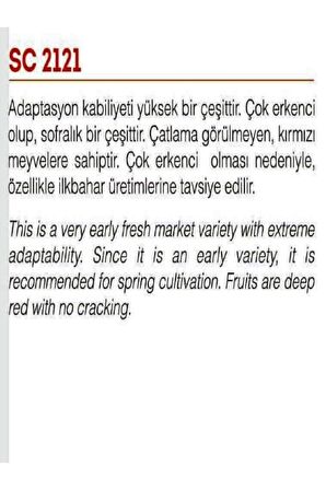 Doğal Standart Sofralık Sc-2121 Domates 1000 Adet Tohum