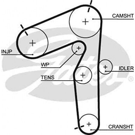 Fiat Eksantrık Kayısı (193x240) Brava Doblo Marea Strada 1,9 Td Lancıa Kappa 2,4 (gd193h8p240) Ct918 - Gates 5462xs