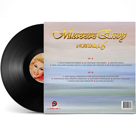 Muazzez Ersoy - Nostalji Vol. 6 - Plak