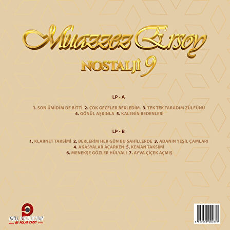 Muazzez Ersoy - Nostalji Vol. 9 - Plak