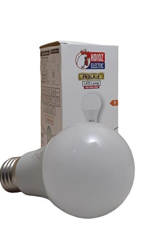 Horoz Electrıc Led Ampul 9W (E 27)