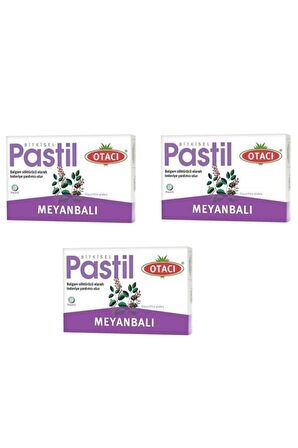 OTACI PASTİL MEYANBALI X 3 PAKET