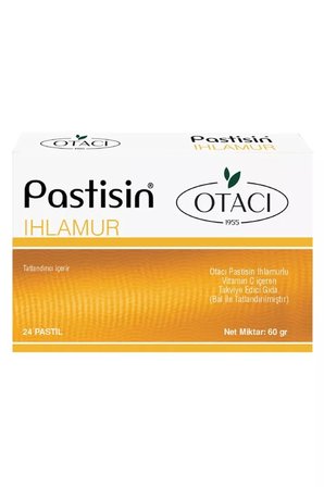 Otacı Pastisin Ihlamur Bal 24 Adet - 3 Adet