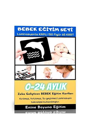 Bebek Eğitim Kartları (0-24 Aylık)