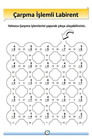 Matematik Öğreten Labirent Kitap Seti (5 Fasikül Kitap)