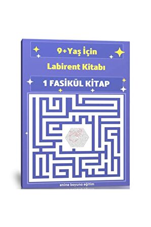 9+ Yaş Labirent Kitabı