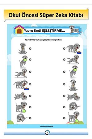 Okul Öncesi Süper Zeka Kitabı