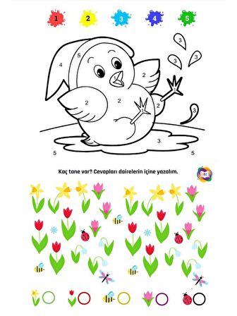 Okul Öncesi Etkinlik Çalışma Kitap Seti (2 Kitap)