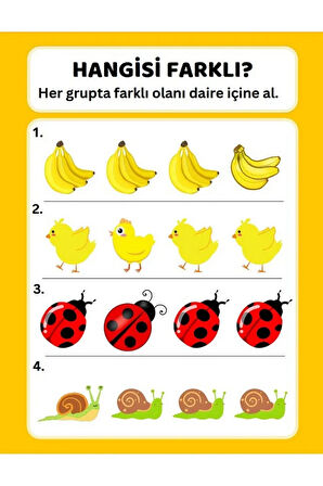 Okul Öncesi Farklı Olanı Bul YAZ-SİL Kitabı