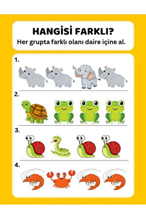 Okul Öncesi Farklı Olanı Bul YAZ-SİL Kitabı